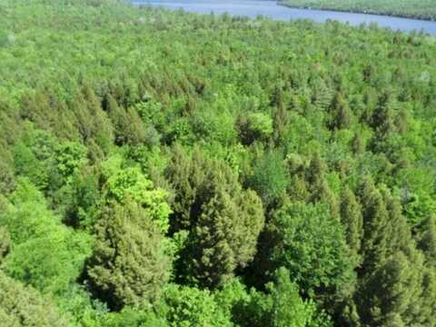 M7 L1-20 Off Pine Bluff Drive, Embden, ME 04958