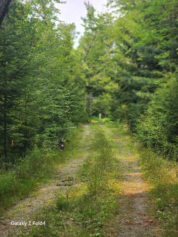 Lot 7-46-9 Clewley Road, Glenburn, ME 04401