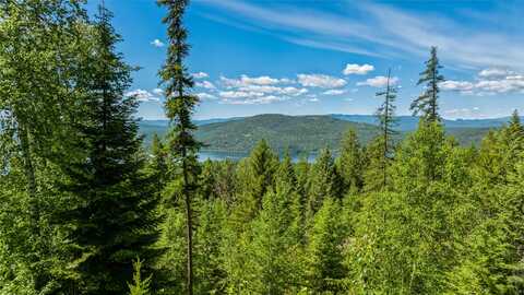 116 Lookout Lane, Whitefish, MT 59937