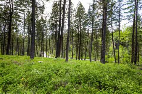 616 Ranch Road, Bigfork, MT 59911