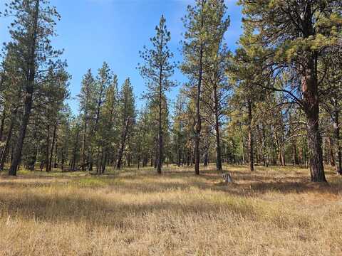 NHN Big Appy Trail, Potomac, MT 59823