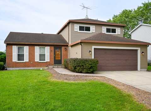 1141 Robey Avenue, Downers Grove, IL 60516