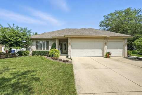 677 Tanager Lane, New Lenox, IL 60451