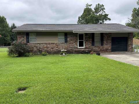 1424 Lasseter Road, Southside, AL 35907