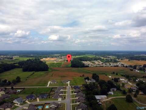 25464 Craft Road, Athens, AL 35613