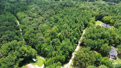 3.5 Acres Wilderness Way, Athens, AL 35614
