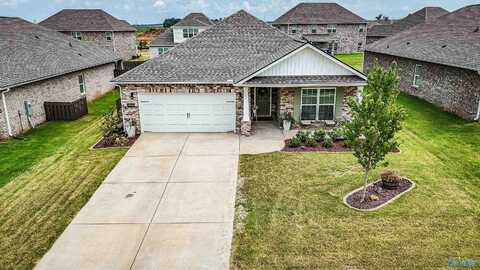 29433 Canoe Circle, Harvest, AL 35749