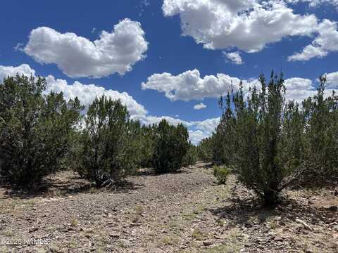 3472 Whitetail Loop, Williams, AZ 86046