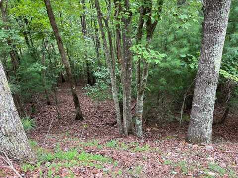 167 Tara Drive, Ellijay, GA 30540