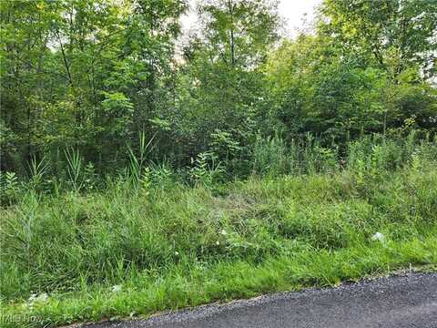 County Line Road, Lake Milton, OH 44429