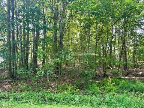 2047 N Park Lane, Roaming Shores, OH 44084
