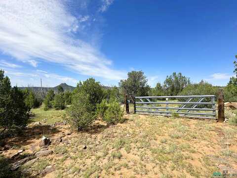 10 Acres On County Road B26d, Serafina, NM 87569