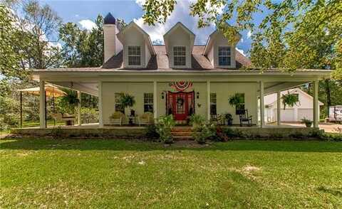 61065 DOE RUN Drive, Amite, LA 70422