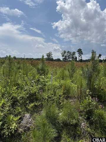 TBD Cove Road, New Hope, NC 27944