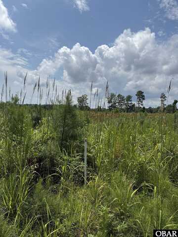 TBD Cove Road, New Hope, NC 27944