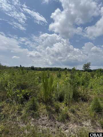 TBD Cove Road, New Hope, NC 27944