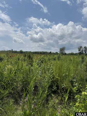 TBD Cove Road, New Hope, NC 27944