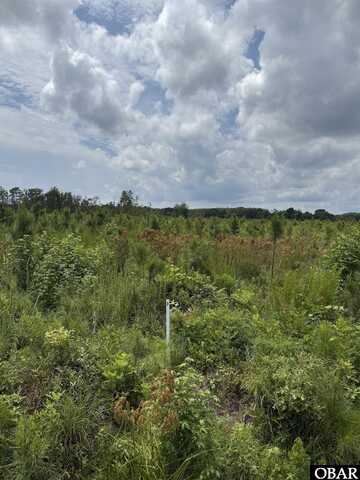 TBD Cove Road, New Hope, NC 27944
