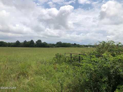 Tbd Jasper Cty / Route YY, Carl Junction, MO 64834