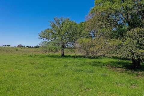 0 Vz County Road 2421, Mabank, TX 75147