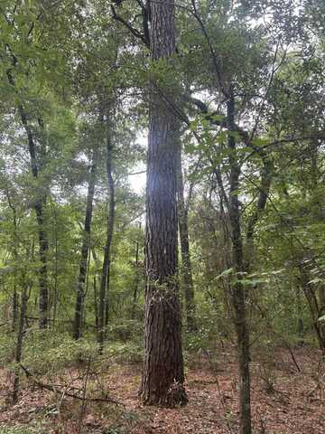 0 Boat Landing Rd, Ridgeville, SC 29472