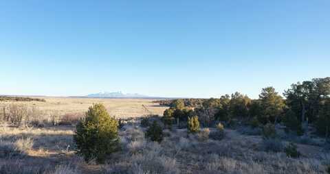 200 Cr 311, Monticello, UT 84535