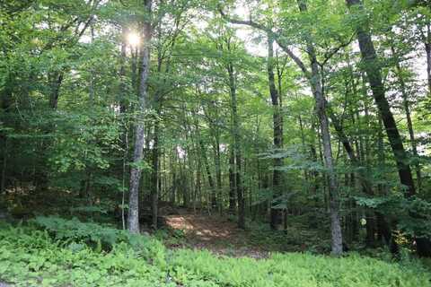 0 Fayle Road, Hoffmeister, NY 13353
