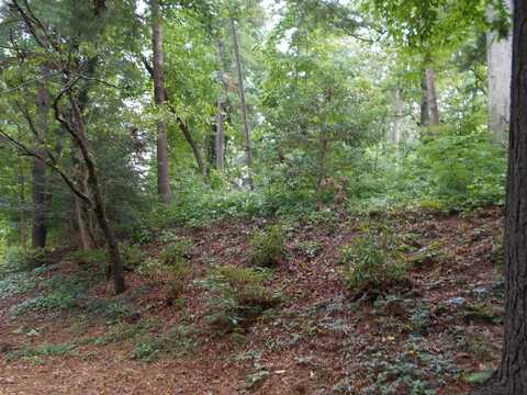 189 Beverly Rd, Asheville, NC 28805