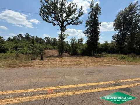 0 Hwy 151, Downsville, LA 71234
