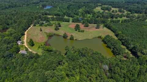 0 Old Sellers Road, Ramer, AL 36069
