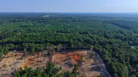 0 Co. Rd. 404, Elba, AL 36323