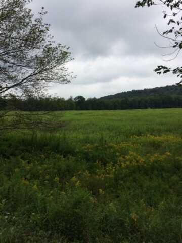 na hasbrouk drive, Woodbourne, NY 12788