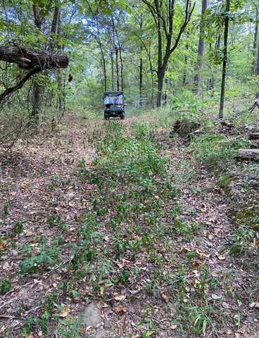 T01S-R15E Kiamichi Wildernes, Daisy, OK 74523