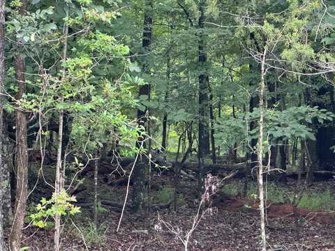 185 Naftel Rd, Grady, AL 36036