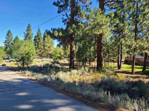 598 Longhorn Drive, Loyalton, CA 96118
