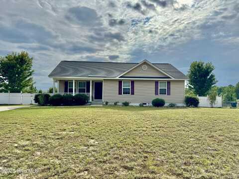 592 Freeman Mill Road, Hamlet, NC 28345