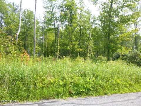 Tr 401 Swoyer Road, Jefferson Township, PA 18436