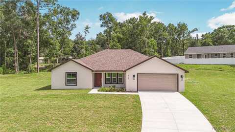 8768 N Salina Drive, Citrus Springs, FL 34434