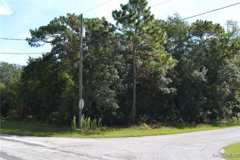 5661 N Lamp Post Drive, Beverly Hills, FL 34465