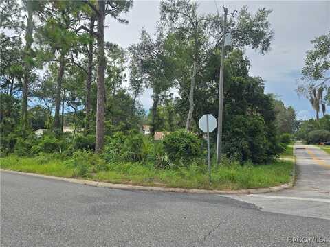 1239 Amherst Terrace, Inverness, FL 34452