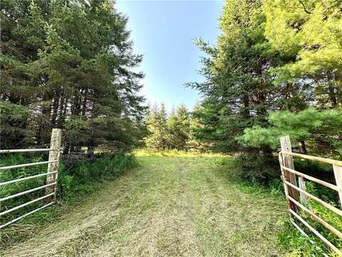 East 20 Acres W Poertner Road, Neillsville, WI 54456
