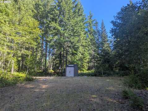 30 Nymark DR, Cougar, WA 98616