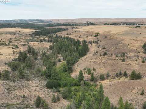 UKA off Middle RD, Bickleton, WA 99322