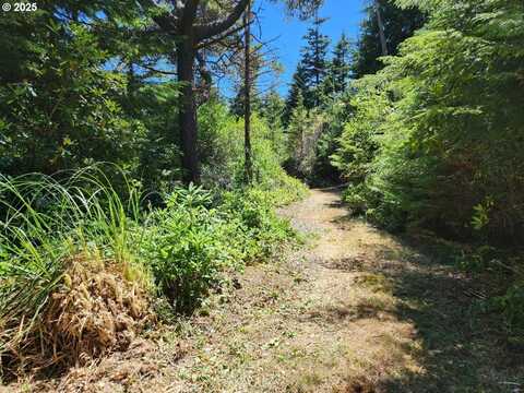 Vista DR, Port Orford, OR 97465