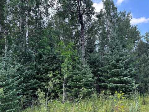 Tbd Highway 71, Littlefork, MN 56653