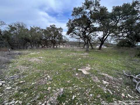 2209 Deer Run, New Braunfels, TX 78132