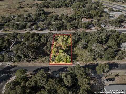 Black Willow, San Antonio, TX 78264