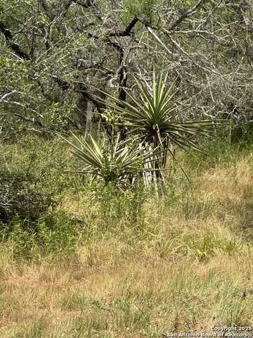 5986 Fm 1107 Unit B, Stockdale, TX 78160