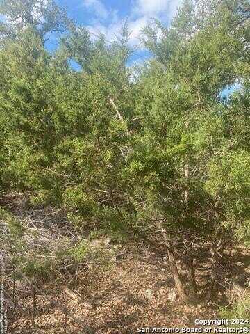 49TH ST, Lakehills, TX 78063