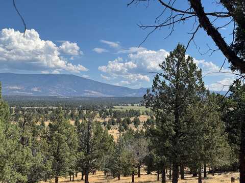 Unit 9-1 Lot 32 Palomino Rd, Weed, CA 96094